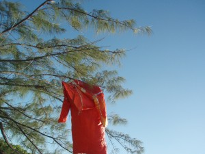 orange survival suit hanging in tree