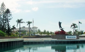 Chub Cay Club Blue Marlin Statue