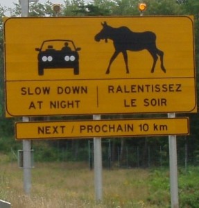 Sign with Car and Big Moose