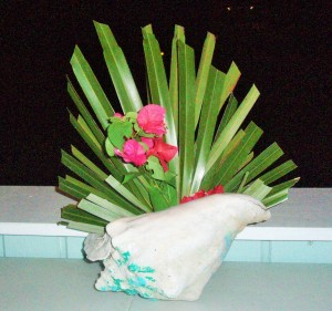 Conch Shell with palmetto leaf and bouganvillia
