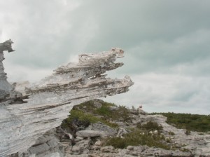 Rock Formation that looks like a monster's head - with a little imagination