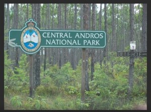 Central Andros National Park Sign with smaller Blue Hole sign