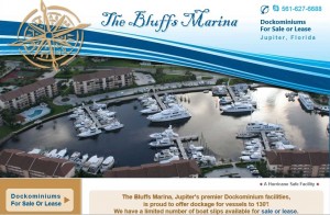 The Bluffs Marina