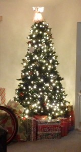 Christmas Presents Under JPs Tree