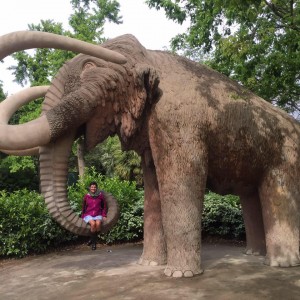 Casey sittins on elephants trunk