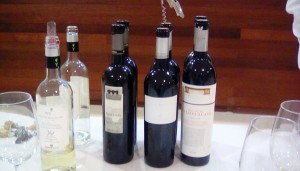 Museum of Wine - Wine Tasting