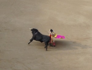 Bullfighter with Bull