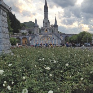 Our Lady of Lourdes Cathedral in the distance with flowers in the foreground