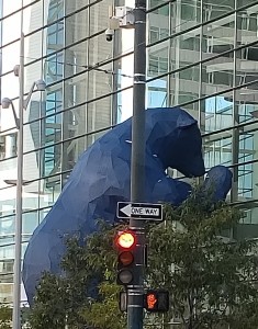 Blue Bear looking into the Denver Civic Center