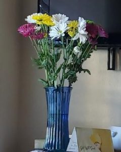 Mixed flowers in vase