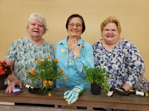 Three women standing behind some flower pots