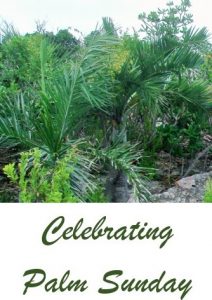 picture of palm with text below - Celebrating Palm Sunday