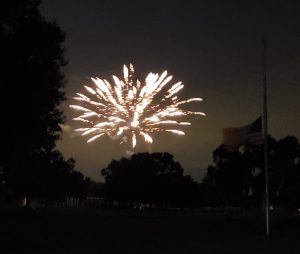 Fireworks framed by trees and a flag at half staff