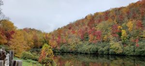 Fall colors on trees reflected in lake l