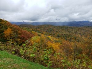 Colorful trees in the foreground with mountains and low hanging clouds in the background