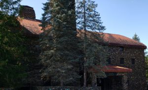 Very large pine trees standing in front of brick hotel with sign over door "Vanderbilt Wing"
