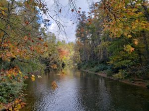 peaceful river surrounded by trees in fall colors