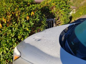 Frost on hood of silver car