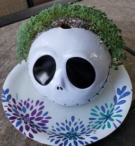 Ghostly Chia Pet Plant