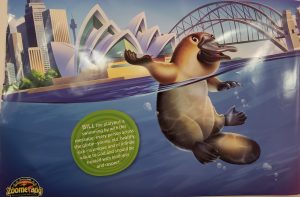 A platypus swimming near the Sydney Opera House