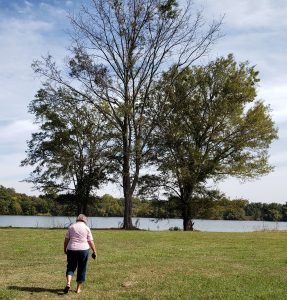 A large tree at rivers edge with Jackie walking toward it.