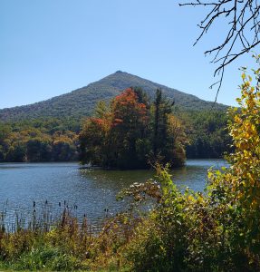 Lake with small island of trees in front of a nountain