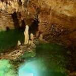 Green pool in caverns with coins in and around it.