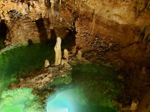 Green pool in caverns with coins in and around it.