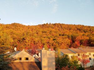 Resort buildings with a mountain full of colorful trees behind
