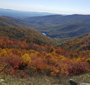 Mountains in the background with colorful Fall trees in the freground